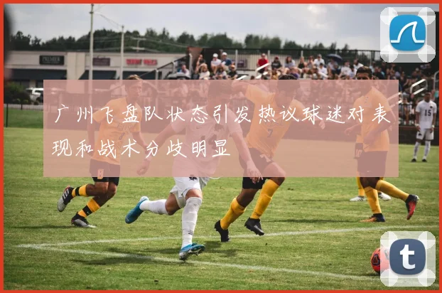 广州飞盘队状态引发热议球迷对表现和战术分歧明显