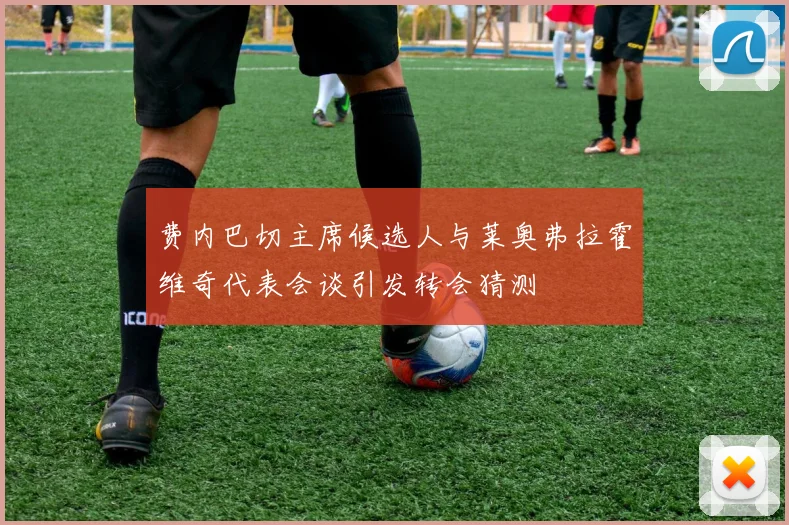 费内巴切主席候选人与莱奥弗拉霍维奇代表会谈引发转会猜测